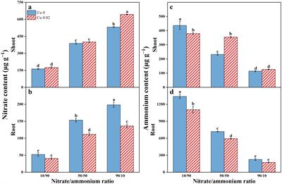 Effect of copper on nitrogen uptake, transportation, assimilation processes, and related gene expression in Chinese cabbage [Brassica campestris L. ssp. Chinensis (L.)] under various nitrate-to-ammonium ratios